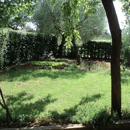 Apartment Martina Biograd Na Moru Kültér fotó