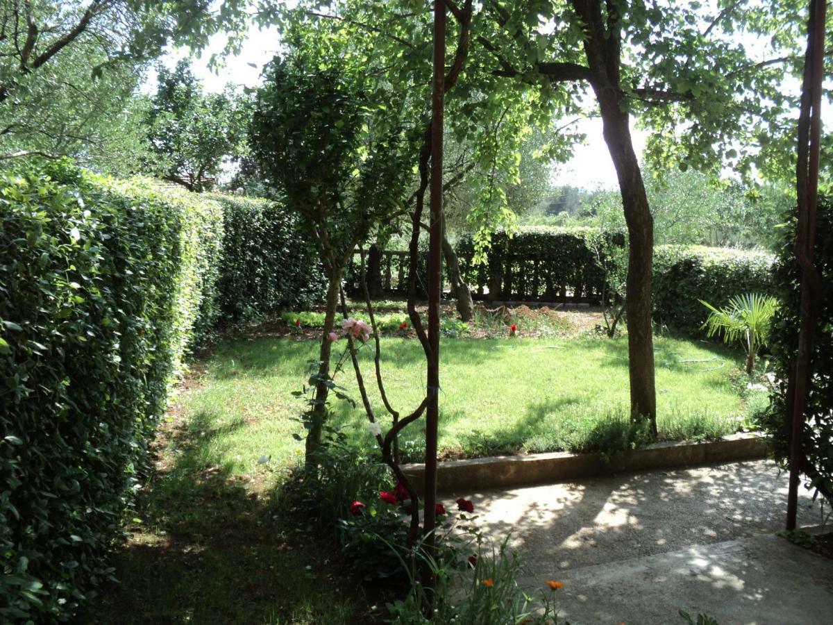 Apartment Martina Biograd Na Moru Kültér fotó