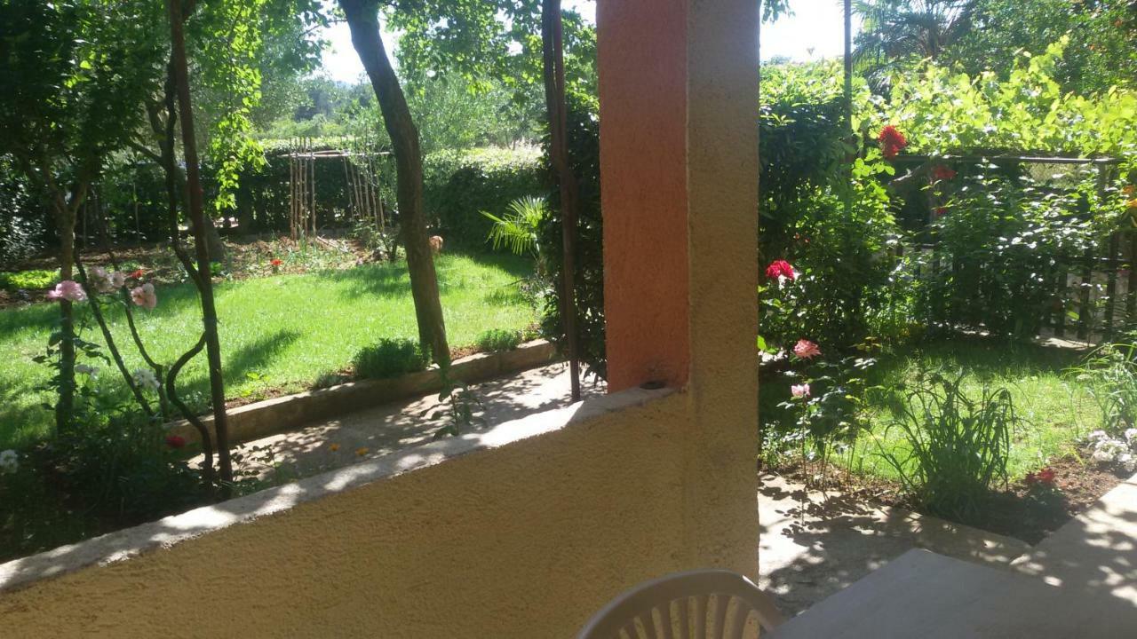 Apartment Martina Biograd Na Moru Kültér fotó